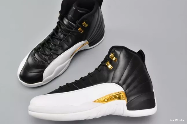 HighQuality 781 848692- 4163 12 Retro Jordan Wings 0709